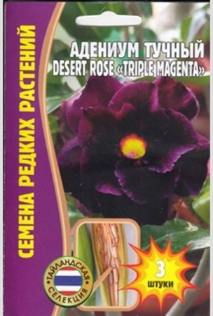 Адениум Triple Magenta DESERT ROSE 3шт
