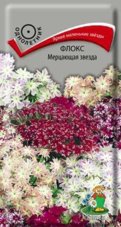 Флокс друммонда Мерцающая звезда 0,2г Флокс друммонда Мерцающая звезда 0,2г