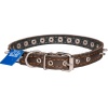 Ошейник кожа 20мм с украшением и шипами на фетре 44-46см/40632/Бим