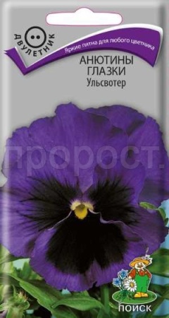 Анютины глазки Ульсвотер 0,2 гр 