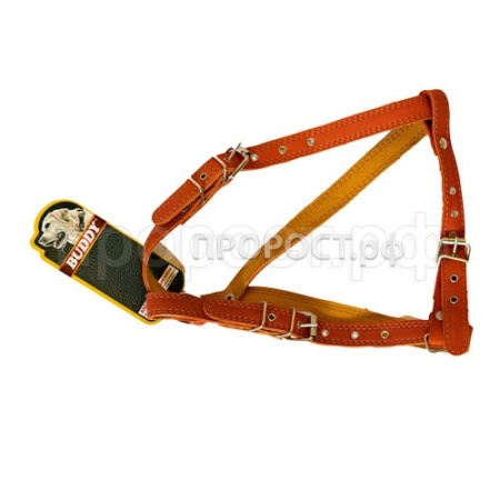 Шлейка кожа Универсал Малая шея 43-56см, грудь 54-64см/410