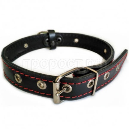 Ошейник кожа 25мм 2-х слойный безразмерный 53-58см/41356/Бим