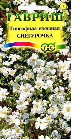 Гипсофила изящная Снегурочка 0,1г 