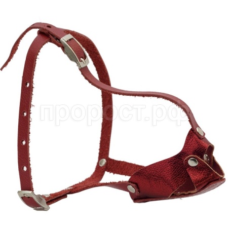 Намордник кожа цельнокроеный Шпиц/04014012/Каскад