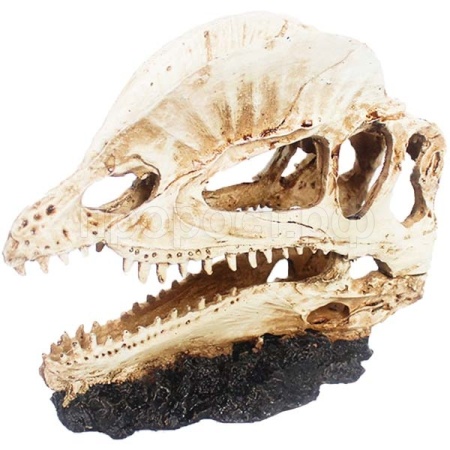 Грот Череп дилофозавра Nomoy Pet 17х7.5х14см/NMP-NS-117/АЛ