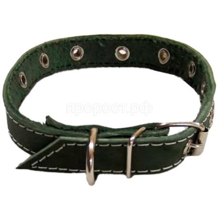 Ошейник кожа зелёный 1сл 25мм DONBARON
