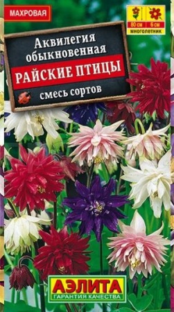 Аэлита Аквилегия Райские птицы смесь махровая 0,2г