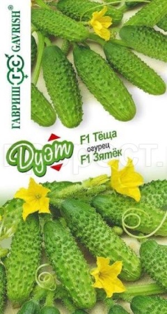 Гавриш серия Дуэт Огурец Зятек F1 10шт +Теща F1 10шт