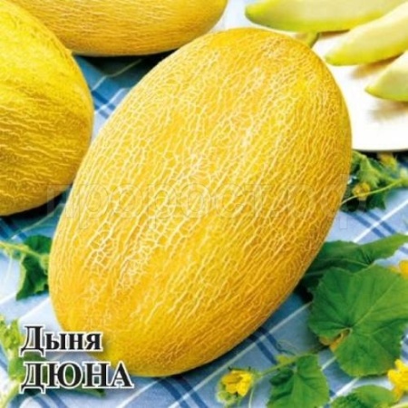 Дыня Дюна 25 г