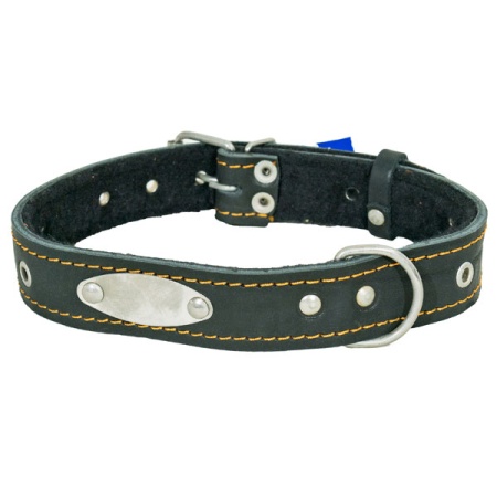 Ошейник кожа 30мм безразмерный с пластиной на фетре 60-65см/41288/Бим